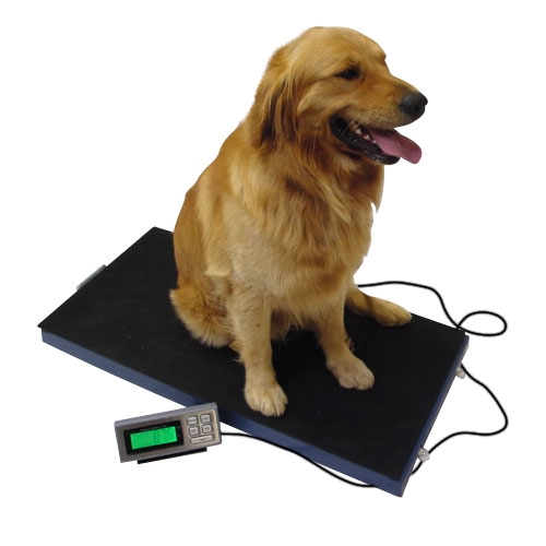 Precision-Pet Small Animal Scale