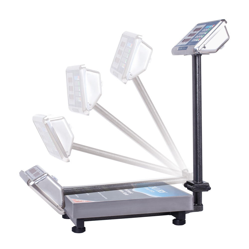 Commercial Platform Scale