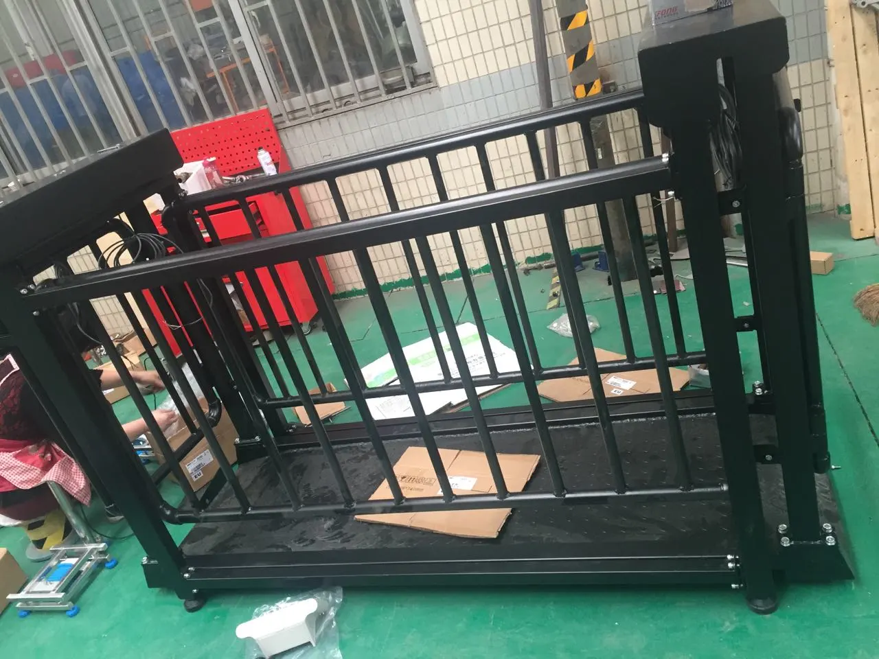 Ultra-Slim Walk-On Platform Scale for Equestrian Clinics