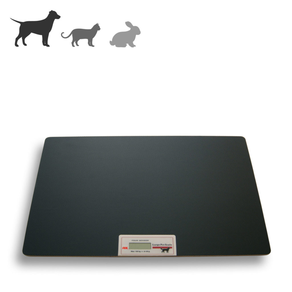 purchase baby weighing scales at supplier shop