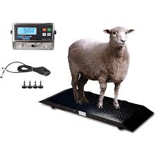 Approved Large animal weighing equipment