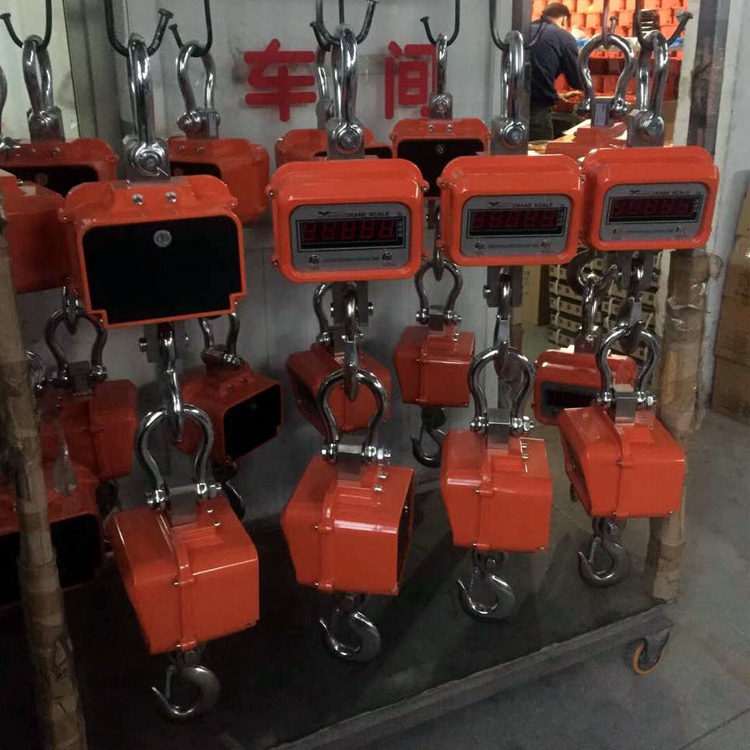 Digital Hanging LED Crane Scale in gulu-district - view 2