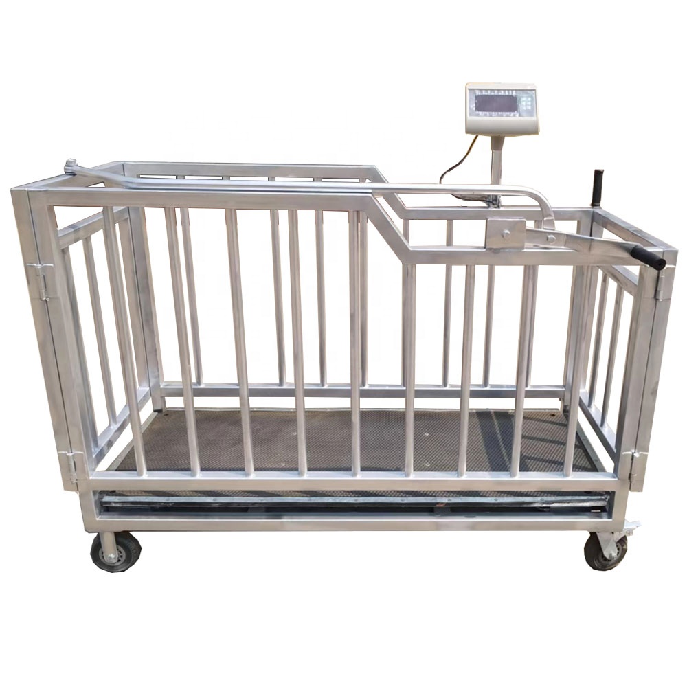 Digital Heavy Duty Platform Weighing Floor Scale - Animal-Heavy-Duty weighing scale available in Kampala, Uganda