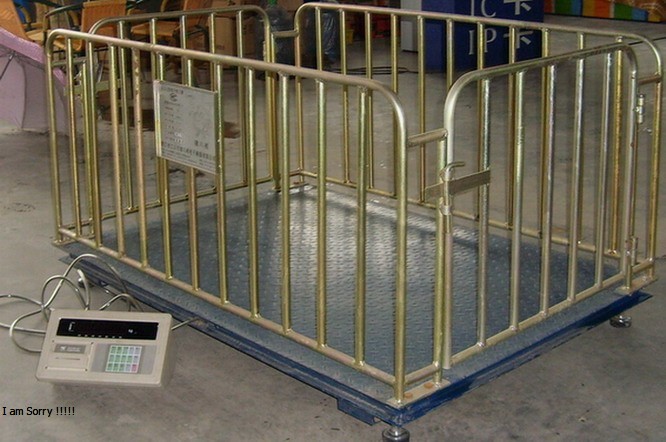 Digital Livestock Veterinary Animal Platform Scale – 500 kg