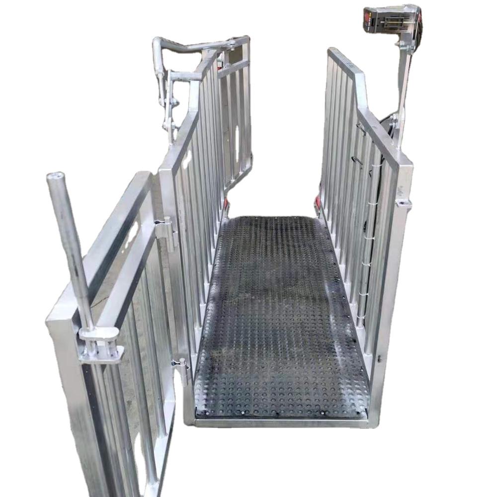 Portable Digital Animal Scale Ideal for Farm Use - Animal-Heavy-Duty weighing scale available in Kampala, Uganda