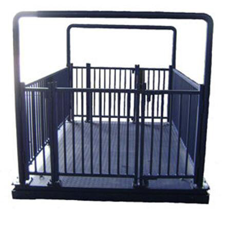 Best Weighing Scales – Uganda - Animal-Light-Duty weighing scale available in Kampala, Uganda