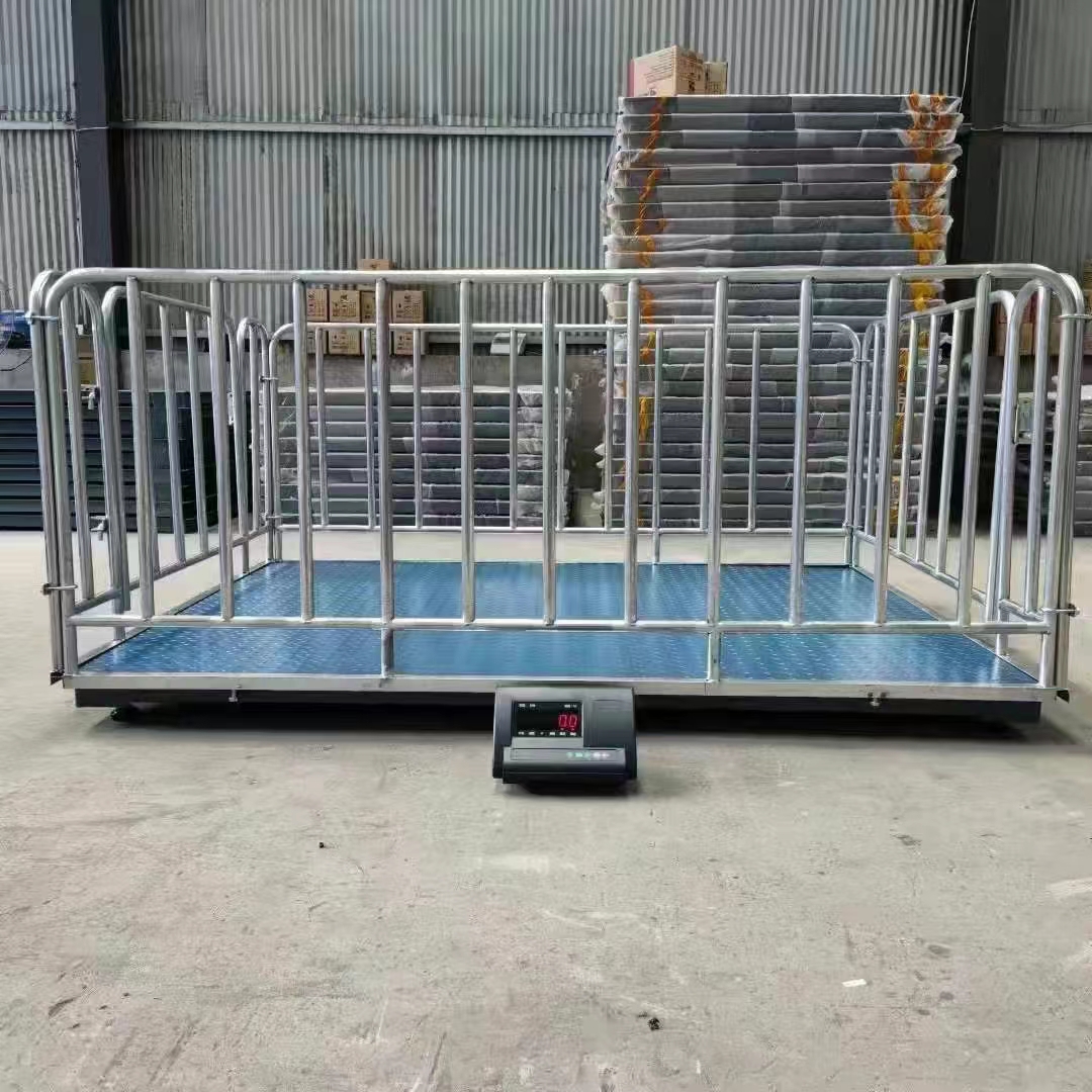 Accurate Weighing Scales – Kampala, Uganda - view 2