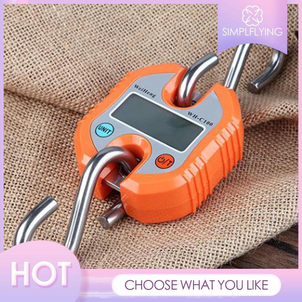 Construction Crane Scale