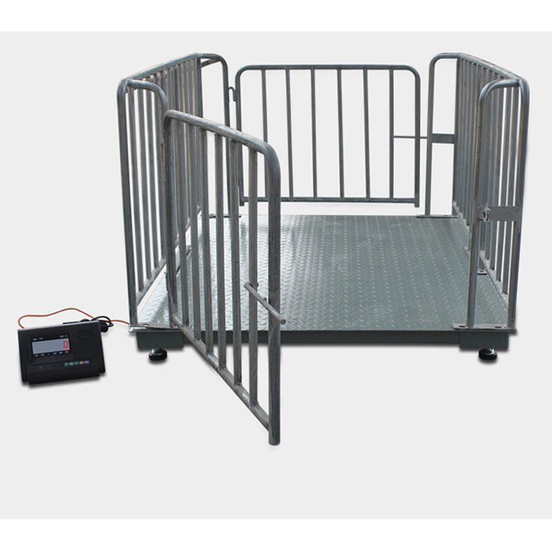 Farm Weighing Solutions – Uganda in Wakiso-district - Crane-Heavy-Duty weighing scale available in Kampala, Uganda