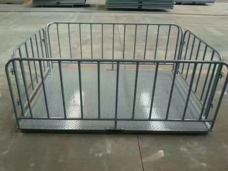 Affordable Digital Farm Animal Weighing Scales - Animal-Heavy-Duty weighing scale available in Kampala, Uganda