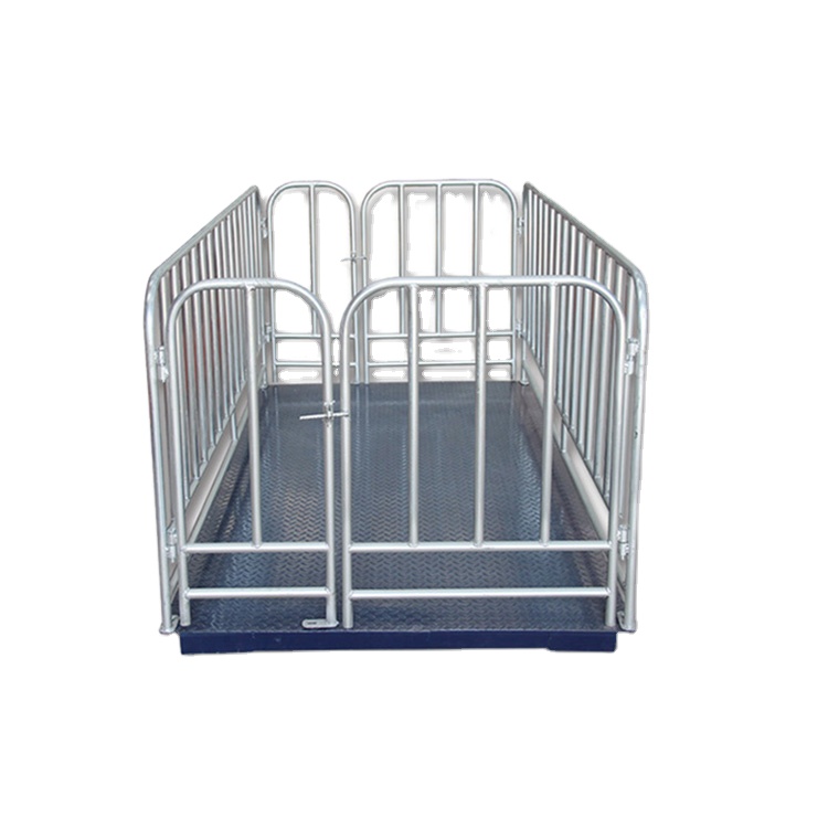 Large Animal Weighing Scale – Heavy Duty Livestock Platform in Nakapiripirit-district-east. - Animal-Light-Duty weighing scale available in Kampala, Uganda