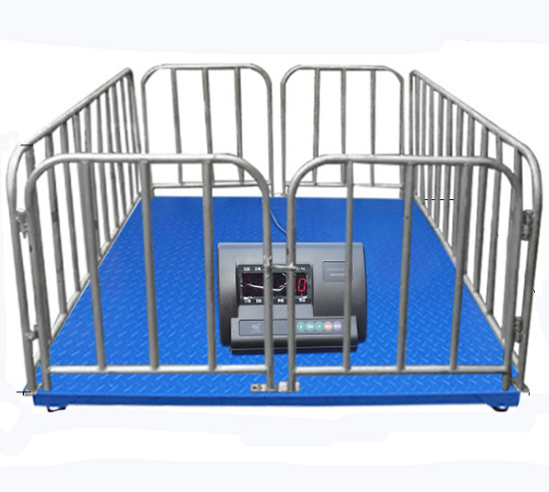 Livestock Platform Scale - Animal-Heavy-Duty weighing scale available in Kampala, Uganda
