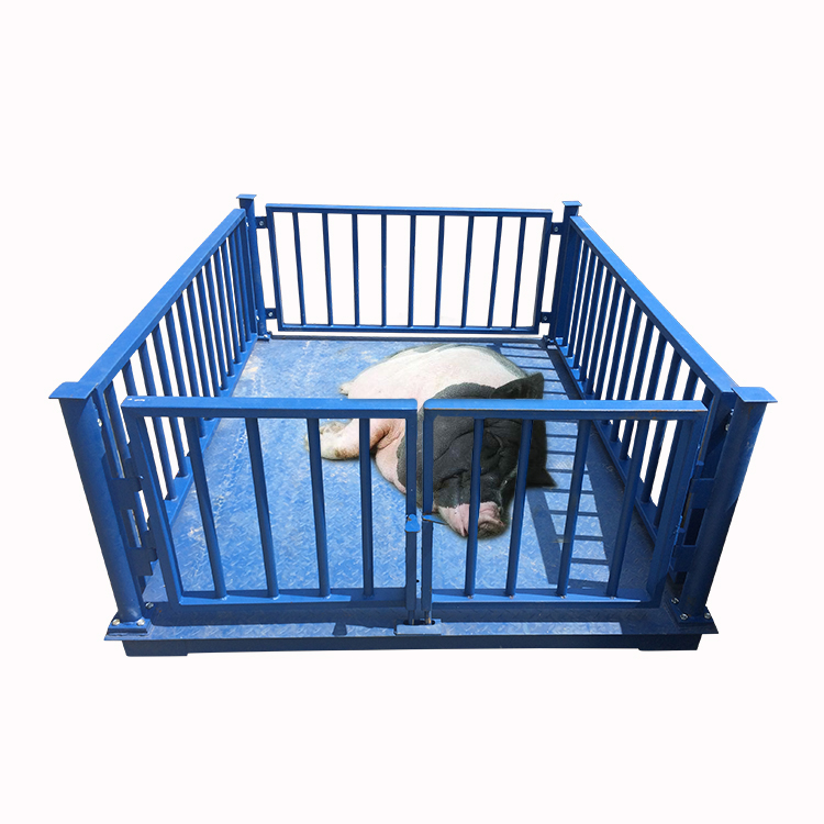 Veterinary Weighing Scales for Veterinarians - Animal-Heavy-Duty weighing scale available in Kampala, Uganda