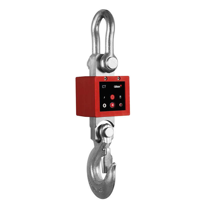 Industrial Crane Weighing Scales You Can Buy - Crane-Light-Duty weighing scale available in Kampala, Uganda