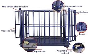 Ultra-Slim Walk-On Platform Scale for Equestrian Clinics - Animal-Light-Duty weighing scale available in Kampala, Uganda