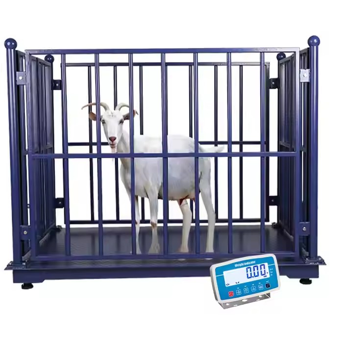 Livestock Scale Installation Service in Hoima-district - Animal-Heavy-Duty weighing scale available in Kampala, Uganda