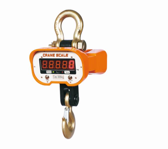 Industrial Loads crane Hanging Scales Equipment - Crane-Heavy-Duty weighing scale available in Kampala, Uganda