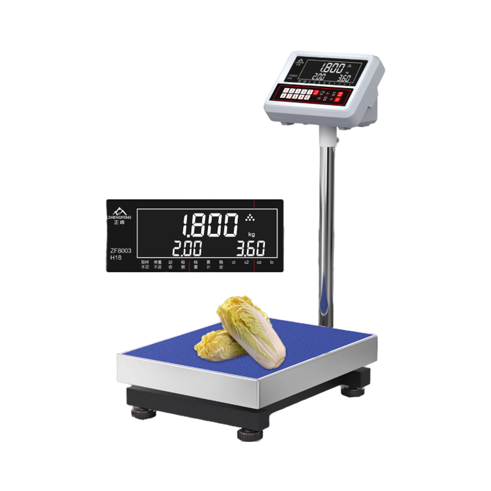 Accurate Systems LTD – Platform Digital Weighing Solution - view 2
