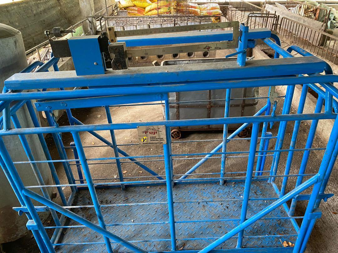 Hot Sale Livestock Weight Scale - Animal-Heavy-Duty weighing scale available in Kampala, Uganda