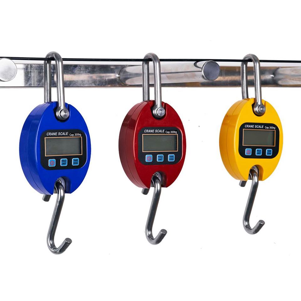 handheld  portable electronic hanging scale - Crane-Light-Duty weighing scale available in Kampala, Uganda