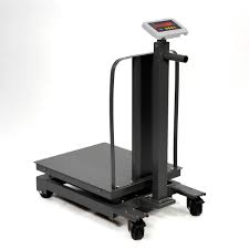 Platform Weighing Scale Series with Rechargeable Battery Pack - Platform weighing scale available in Kampala, Uganda