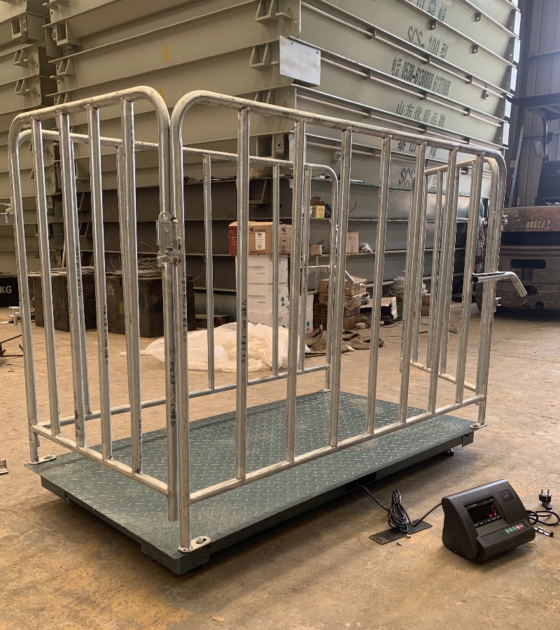 Portable Animal Scale - Animal-Heavy-Duty weighing scale available in Kampala, Uganda