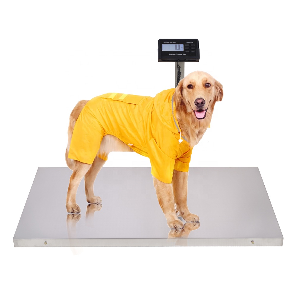Dog Weighing Scale – Kampala - Animal-Light-Duty weighing scale available in Kampala, Uganda