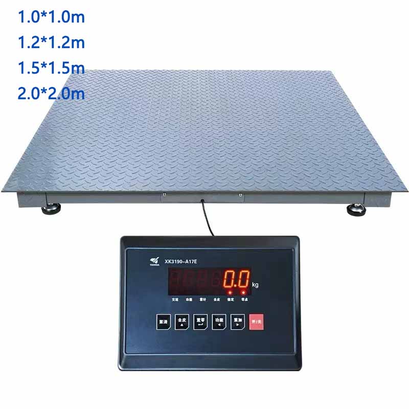 Heavy-Duty Platform Scale Kampala - view 2