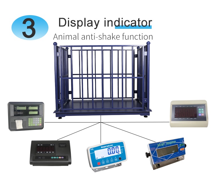 Veterinary Scale with Stainless-Steel Platform Design - Animal-Heavy-Duty weighing scale available in Kampala, Uganda