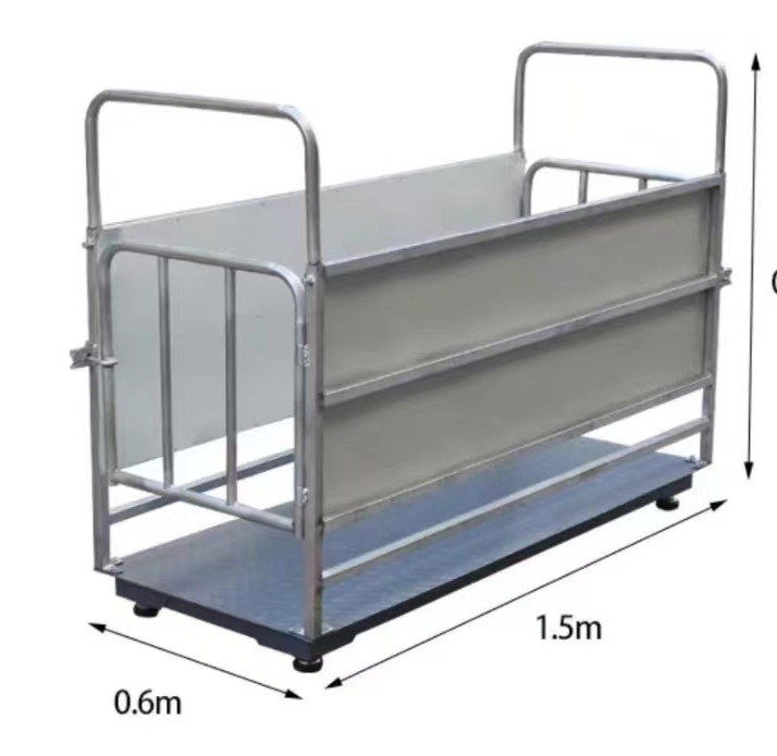 Digital Cattle Scales in Kaliro-district - view 2