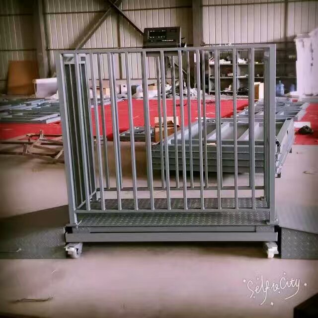 Hot Sale Medical Floor Scale High-Quality Veterinary Use - Animal-Heavy-Duty weighing scale available in Kampala, Uganda