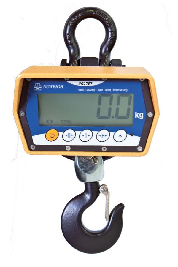 Material Handling Crane Scale
