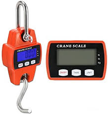 Digital Crane Scale with Backlit Display - Crane-Light-Duty weighing scale available in Kampala, Uganda
