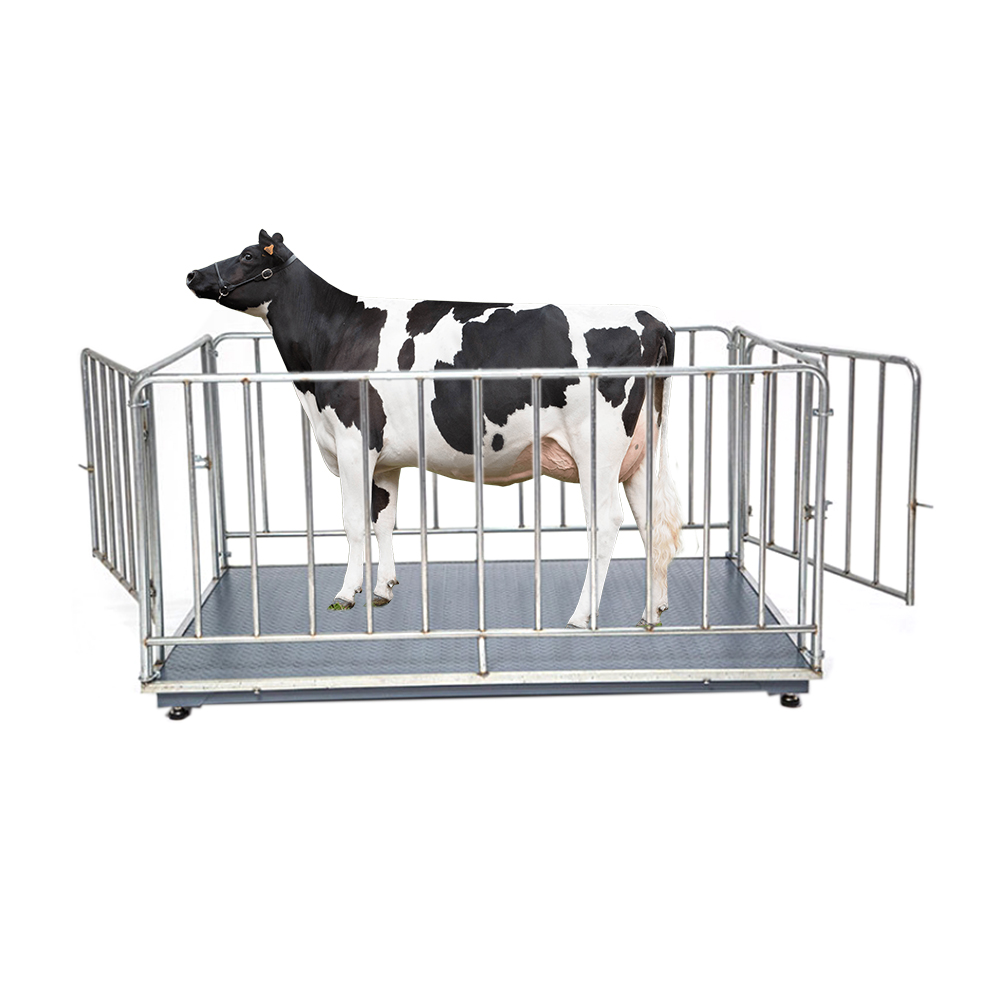 Best Overload Protection Animal Large Platform Scale - Crane-Heavy-Duty weighing scale available in Kampala, Uganda