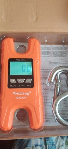 high-precision crane digital weighing scales - Crane-Light-Duty weighing scale available in Kampala, Uganda