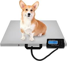 Outdoor animal weighing scales
