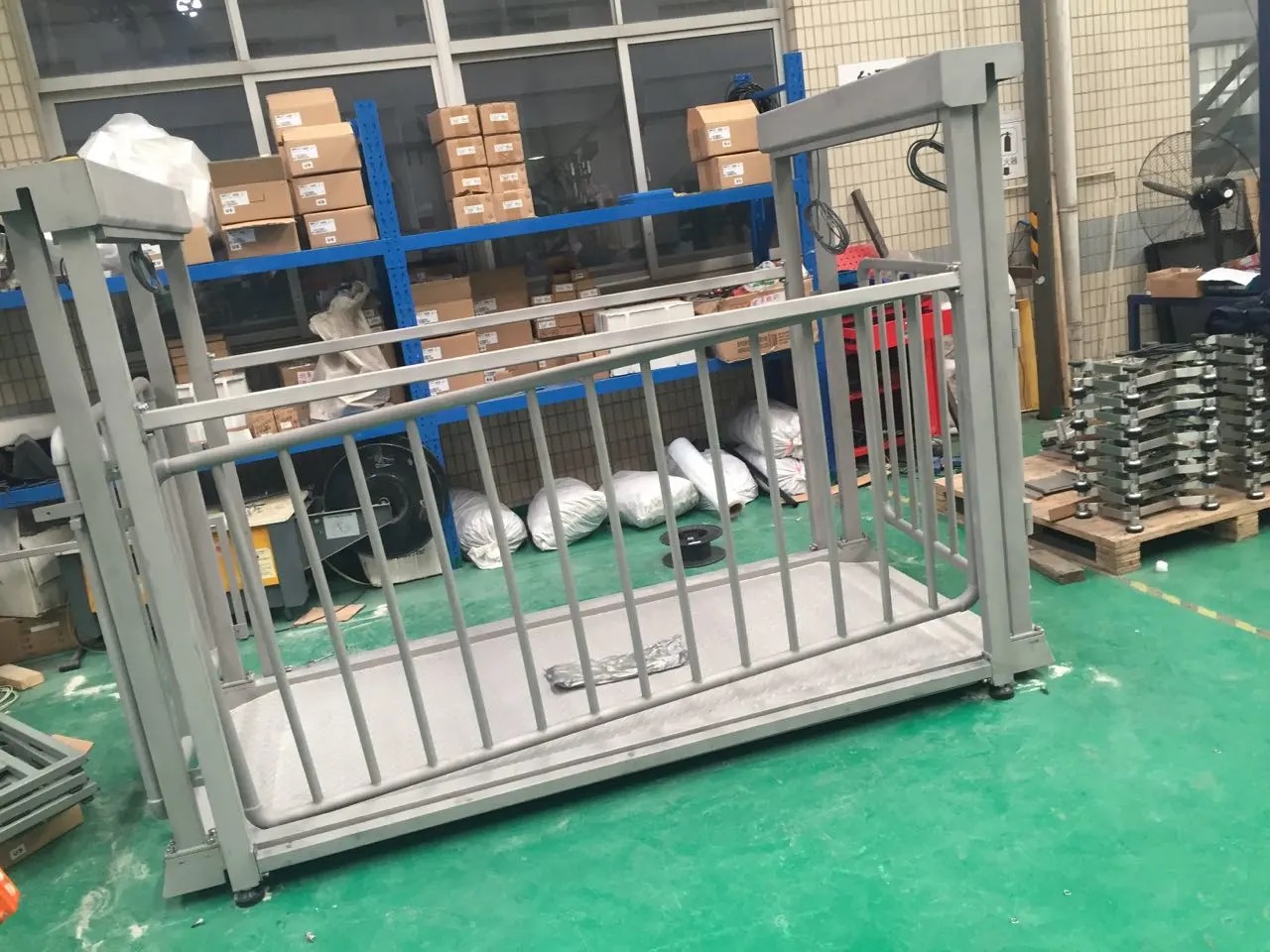 Digital Platform Livestock Scale 300kg / 500kg, 0.1kg Accuracy - Animal-Heavy-Duty weighing scale available in Kampala, Uganda