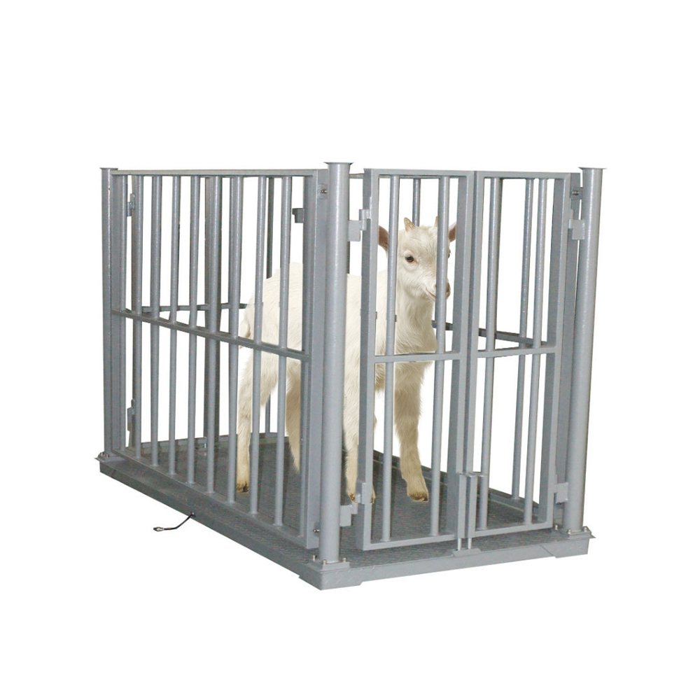 Industrial Animal Weighing System in  Mayuge-district - view 2