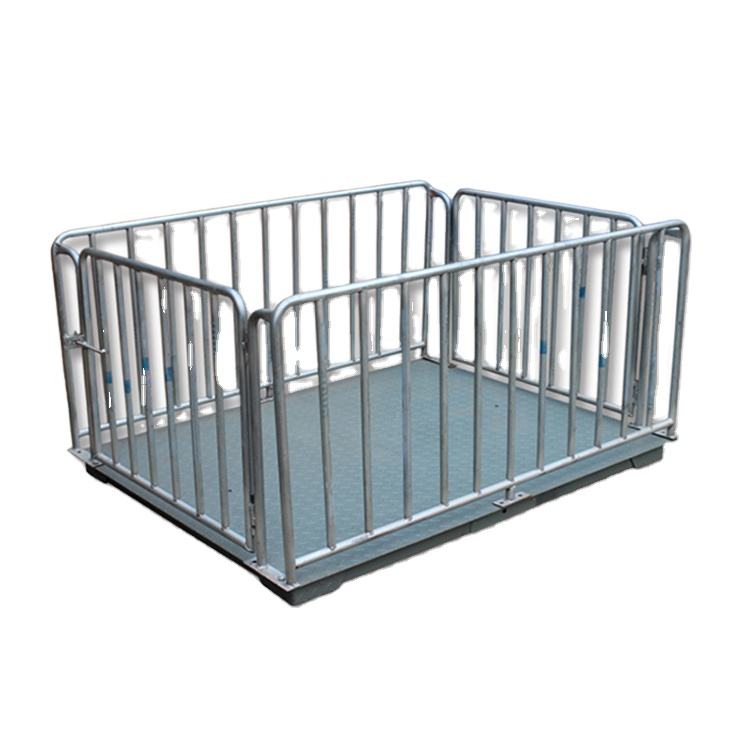 Pig Weighing Scale – Uganda - Animal-Light-Duty weighing scale available in Kampala, Uganda