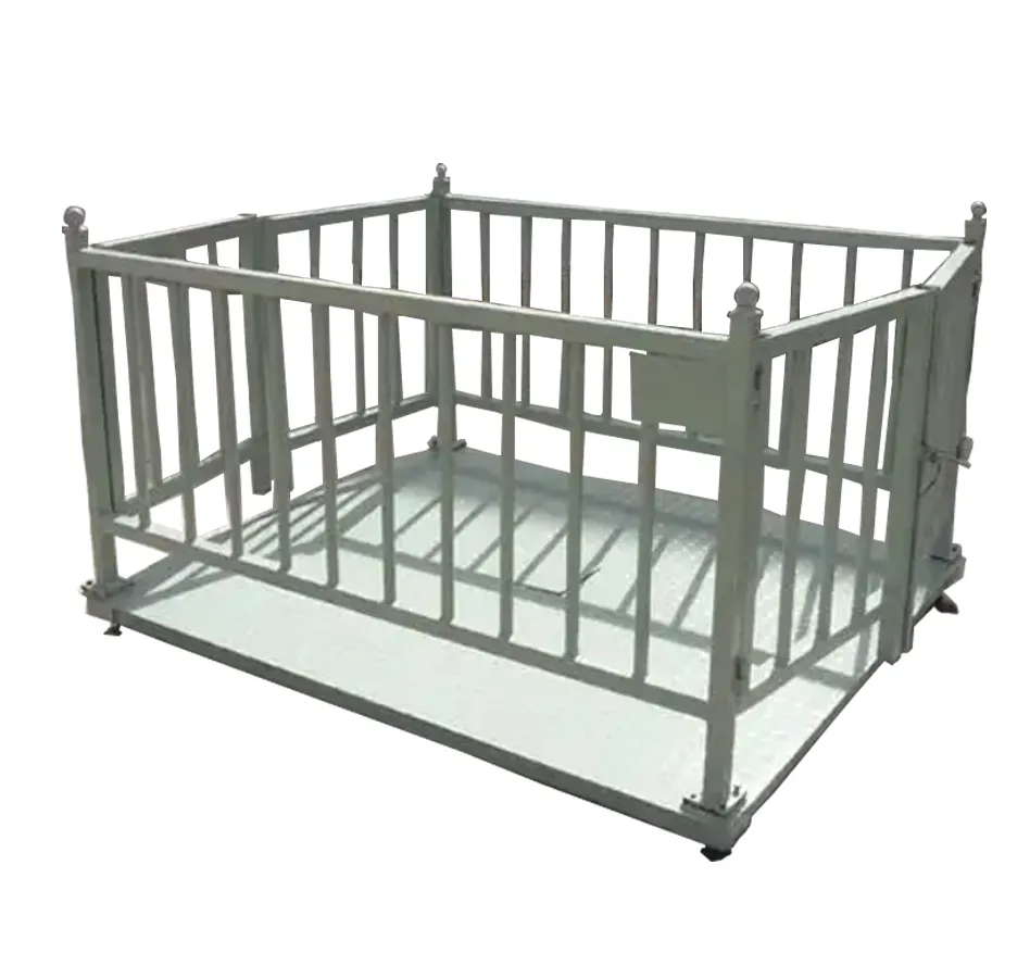 Agricultural Weighing Scales in Bukedea-district - view 2