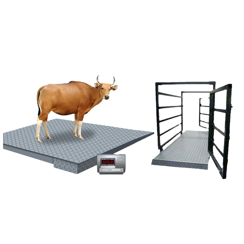 Cattle Weight Scale with Weight Function and Cages - Animal-Heavy-Duty weighing scale available in Kampala, Uganda