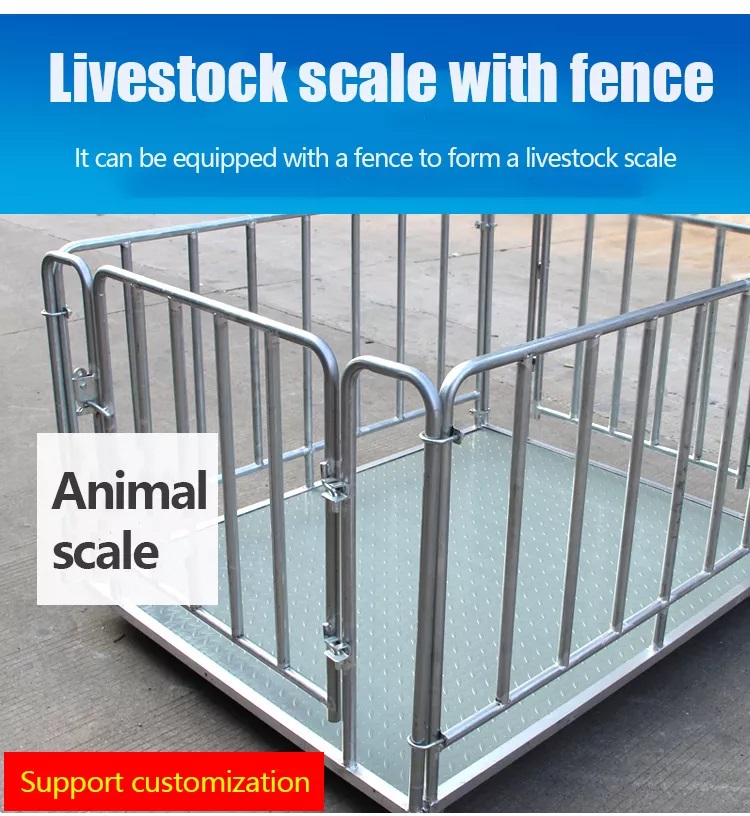 Sheep & Horse Floor Scales - Animal-Heavy-Duty weighing scale available in Kampala, Uganda