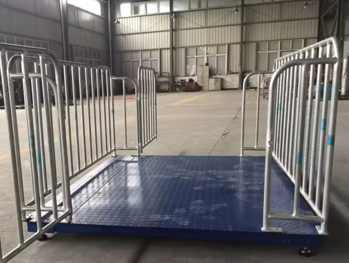 Best Weighing Scales – Uganda - Animal-Heavy-Duty weighing scale available in Kampala, Uganda