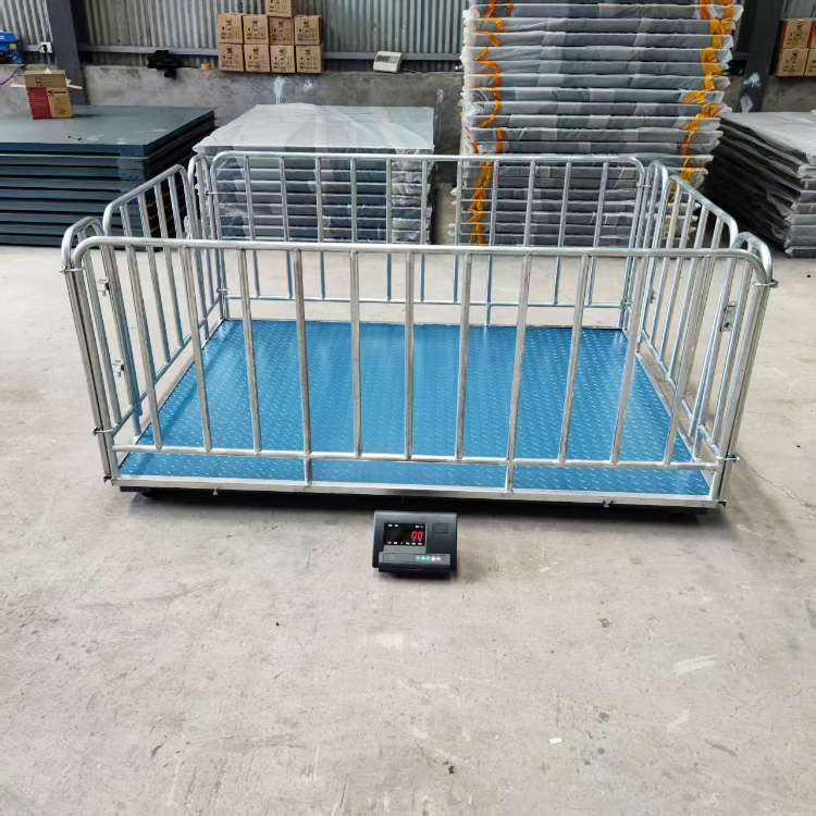 Affordable Animal Scales – ssembabule-district Uganda - Animal-Heavy-Duty weighing scale available in Kampala, Uganda