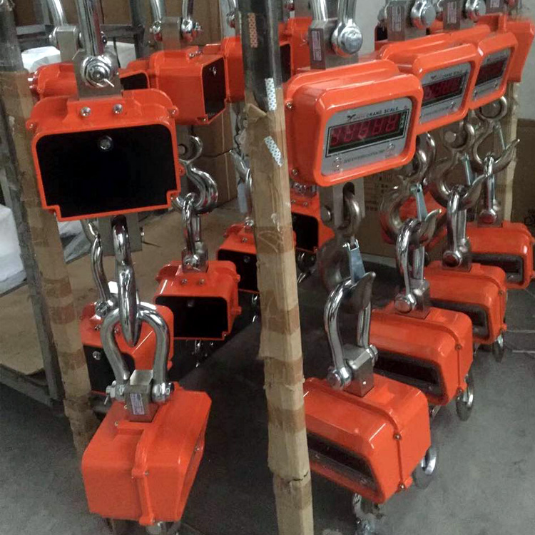 Electronic Double Hooks Outdoor Hanging Scale in - Crane-Light-Duty weighing scale available in Kampala, Uganda
