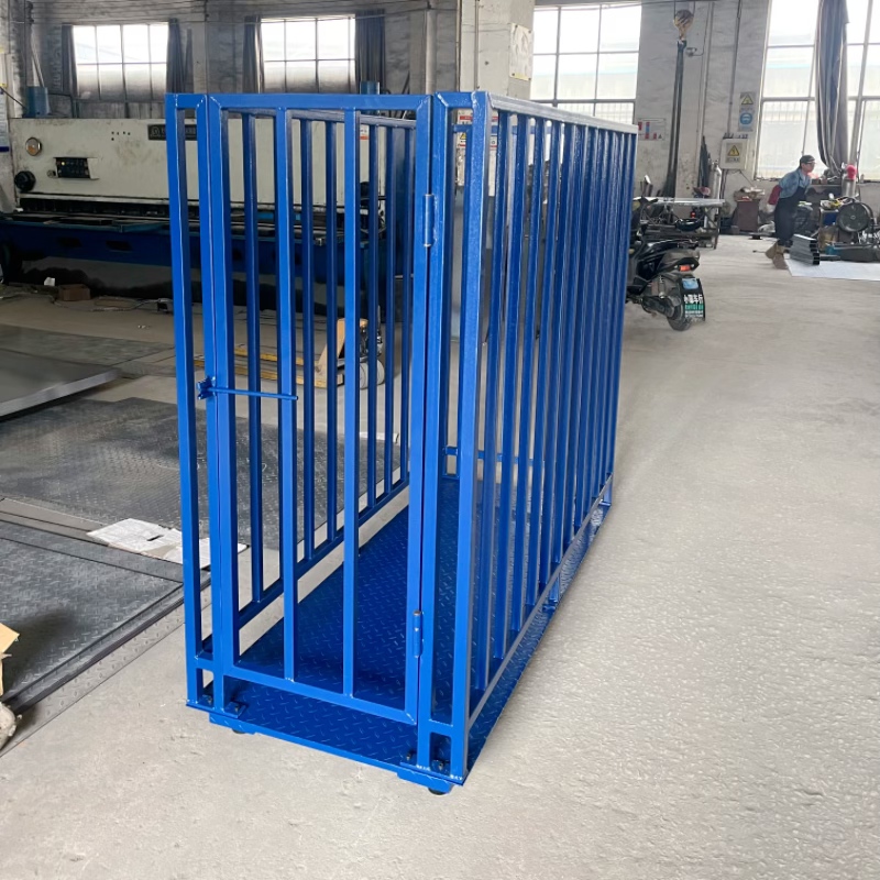 Livestock Market Weighing Scales – Heavy Duty Animal Scale System in Bulambuli-district - Animal-Heavy-Duty weighing scale available in Kampala, Uganda