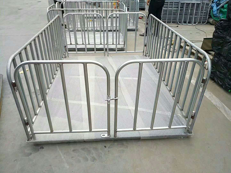 Livestock Weighing Systems – East Africa - view 2