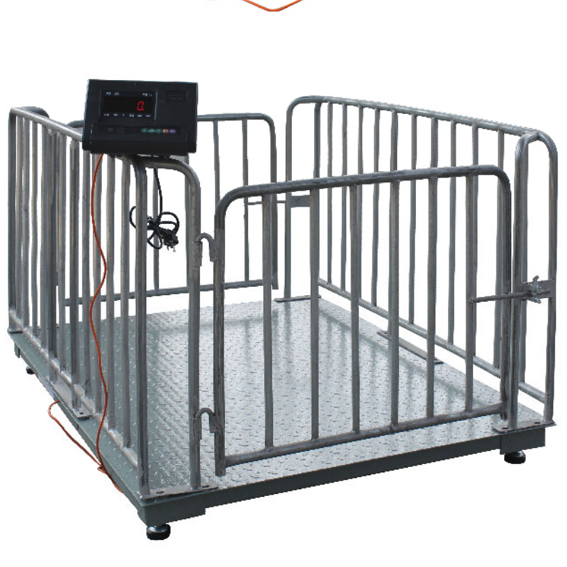 Calf Weighing Scale – Product Description and Specifications in jinja-district - view 2