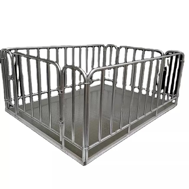 Stainless Steel Veterinary Farm Scale 300kg - Animal-Heavy-Duty weighing scale available in Kampala, Uganda