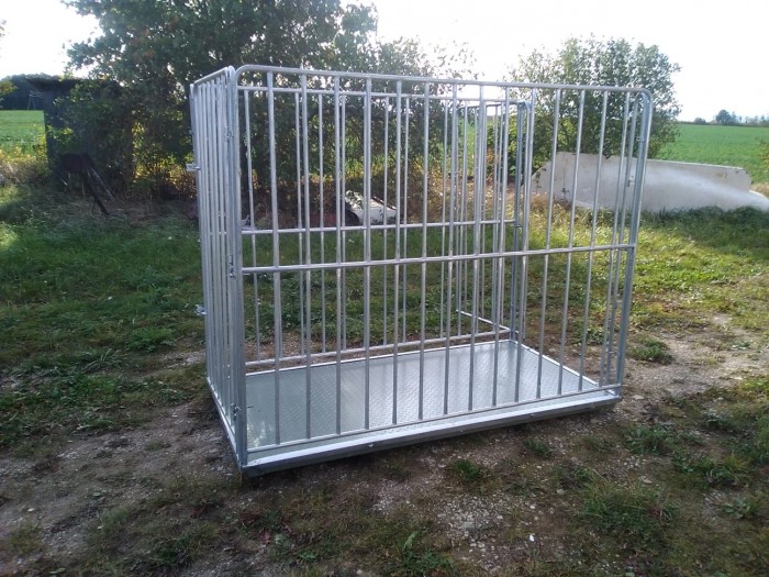 Modern Digital Pet Animal Weighing Scales - Animal-Heavy-Duty weighing scale available in Kampala, Uganda